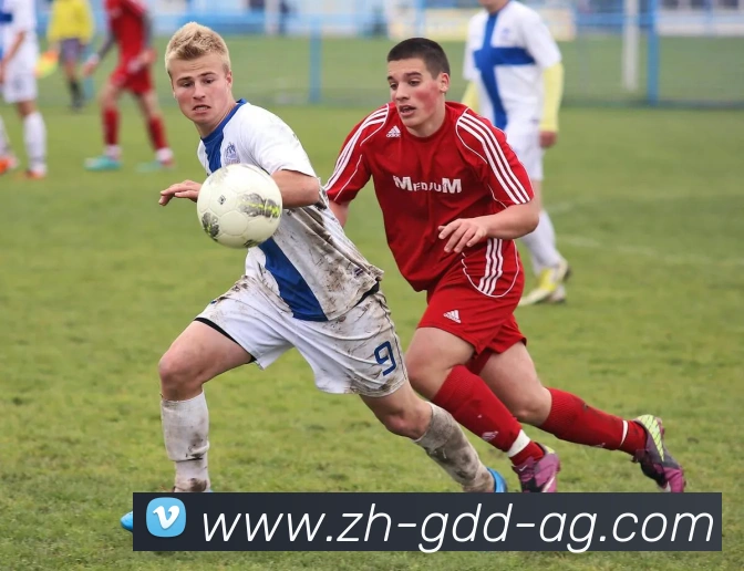 多媒体互动体验